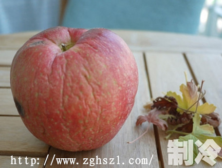 冷庫(kù)